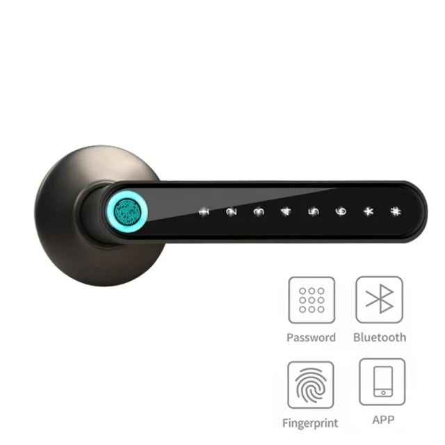 Image of Biometric handle lock