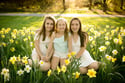 Spring Minis May 1st, 2022 Cantigny Park (Wheaton)
