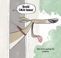 Image 3 of Walkies!