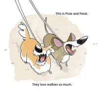 Image 4 of Walkies!