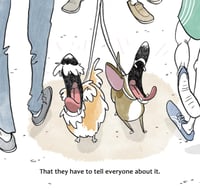 Image 5 of Walkies!