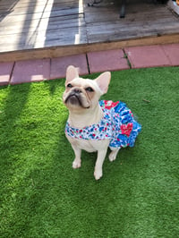 Image 2 of Blue Flower Dress 