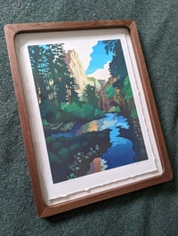 Image 2 of Gila River Print