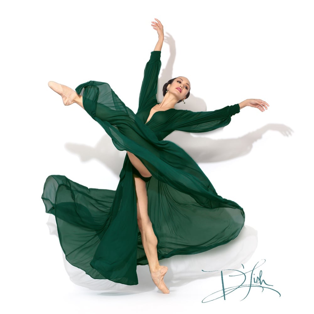 Image of Deep Green Sheer "Beverly" Dressing Gown 
