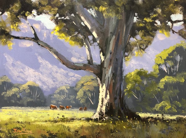 Image of Afternoon At Glen Davis