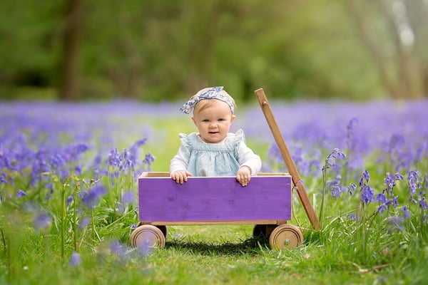 Image of Bluebell Shoot