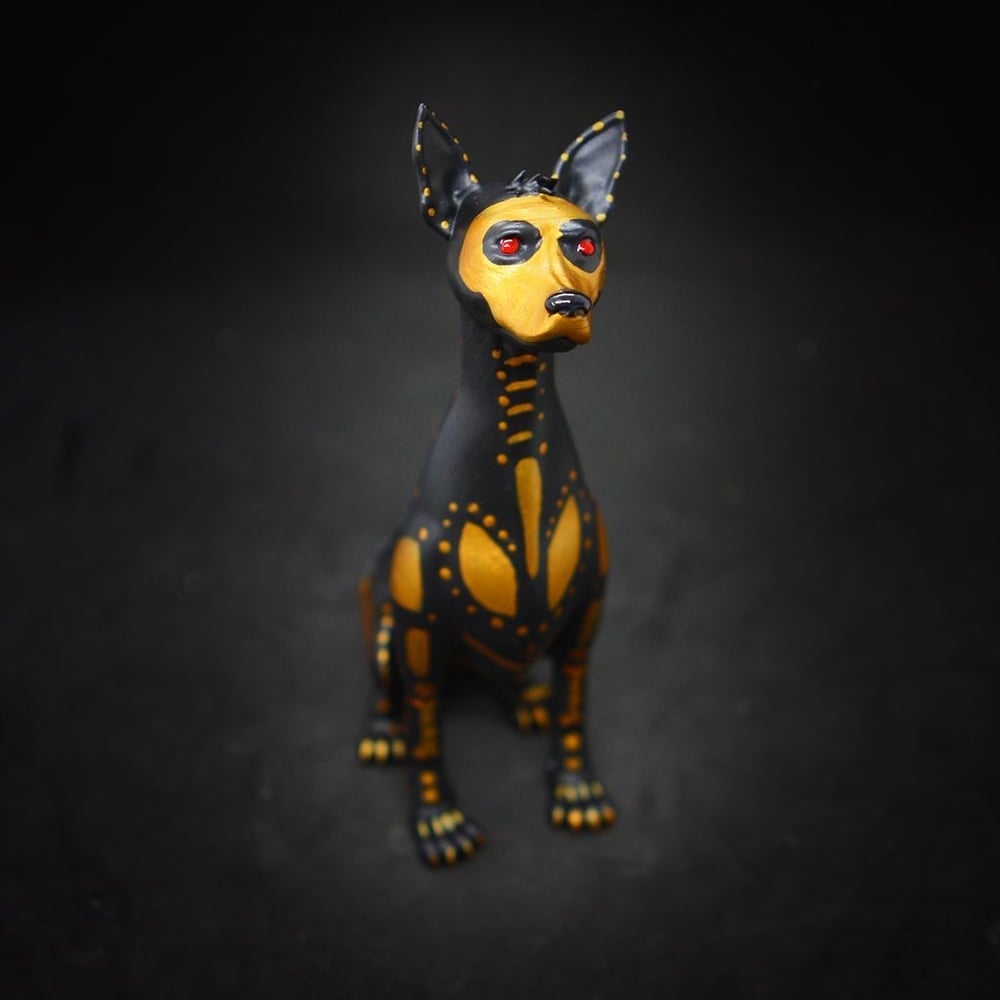 Image of Xolo - black and gold. 