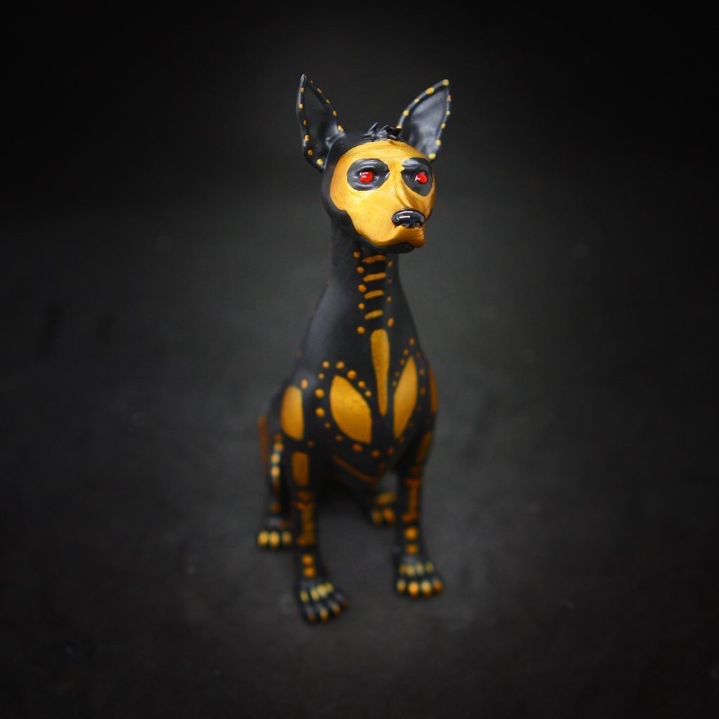 Image of Xolo - black and gold. 