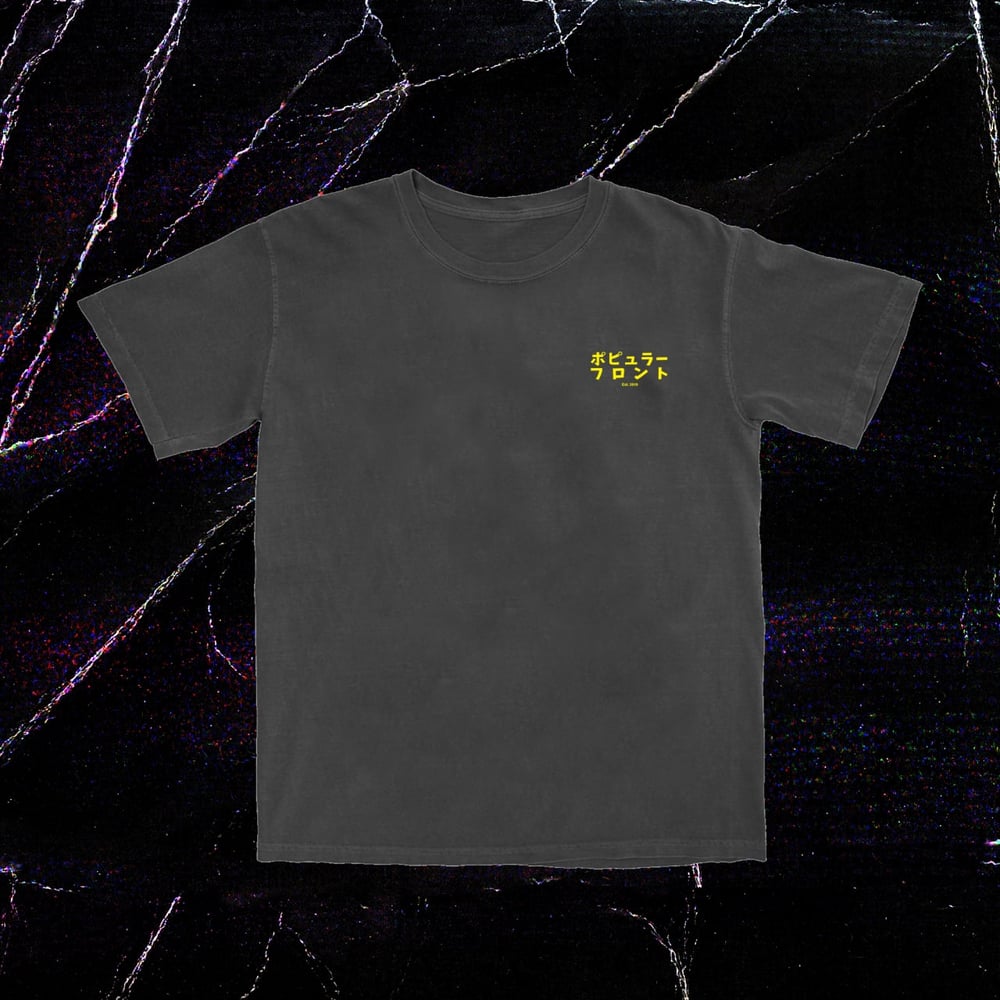 EVERYTHING I DON'T LIKE IS A PSYOP T-SHIRT