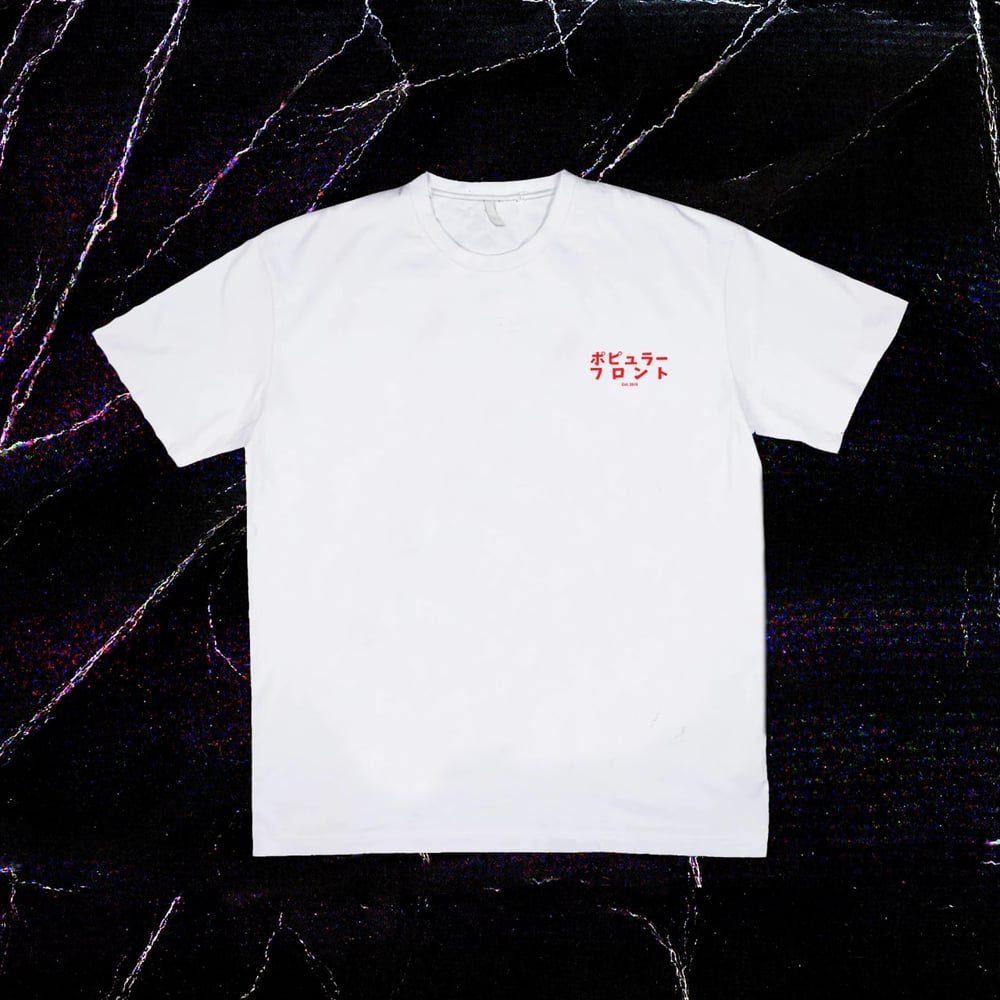 EVERYTHING I DON'T LIKE IS A PSYOP T-SHIRT