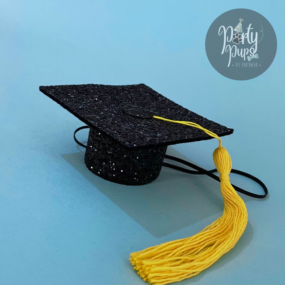 Graduation Cap