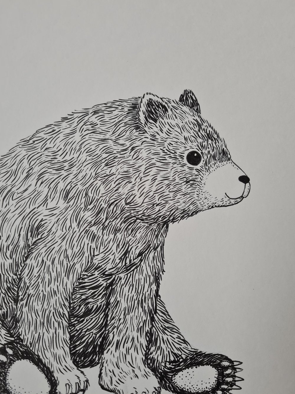 Print: Bear II