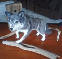 Image 1 of Grey Wolf Sculpture