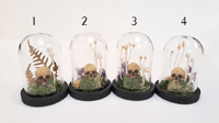 Image 6 of Miniature Skull and Mushroom Domes