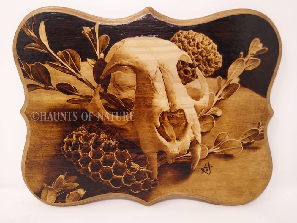 Wood Burned Bobcat Skull and Honeycombs