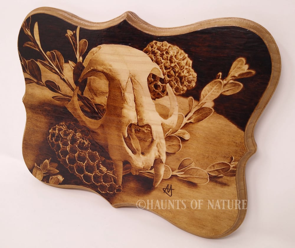 Wood Burned Bobcat Skull and Honeycombs