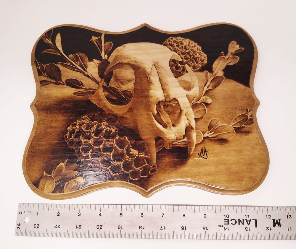 Wood Burned Bobcat Skull and Honeycombs