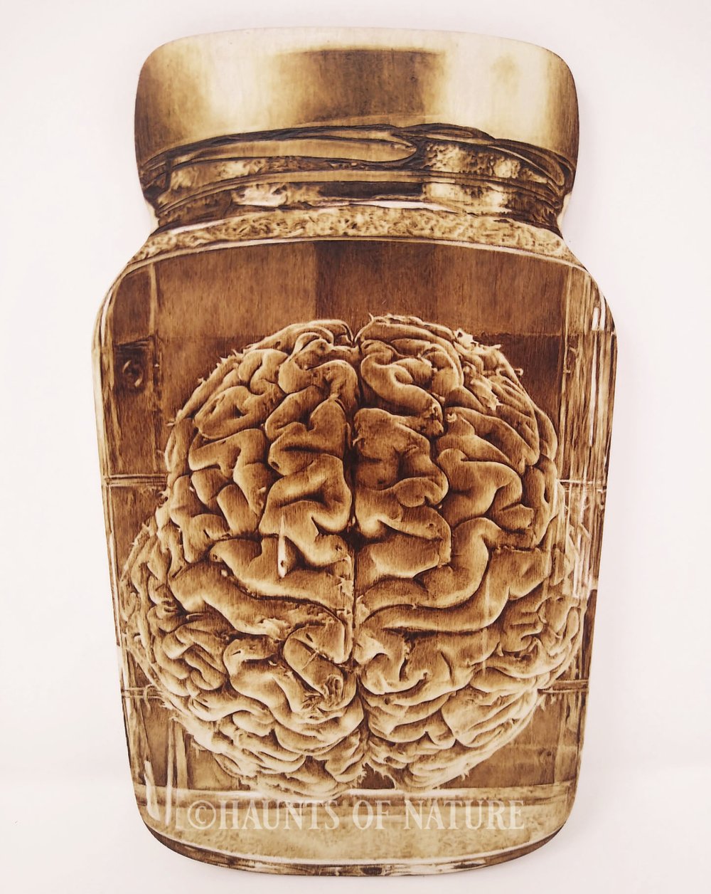 Wood Burned Human Brain Wet Specimen