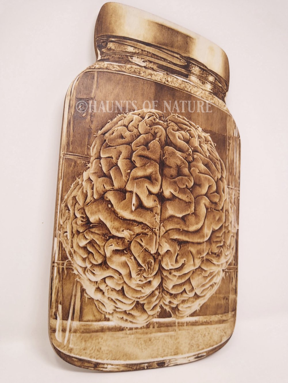 Wood Burned Human Brain Wet Specimen