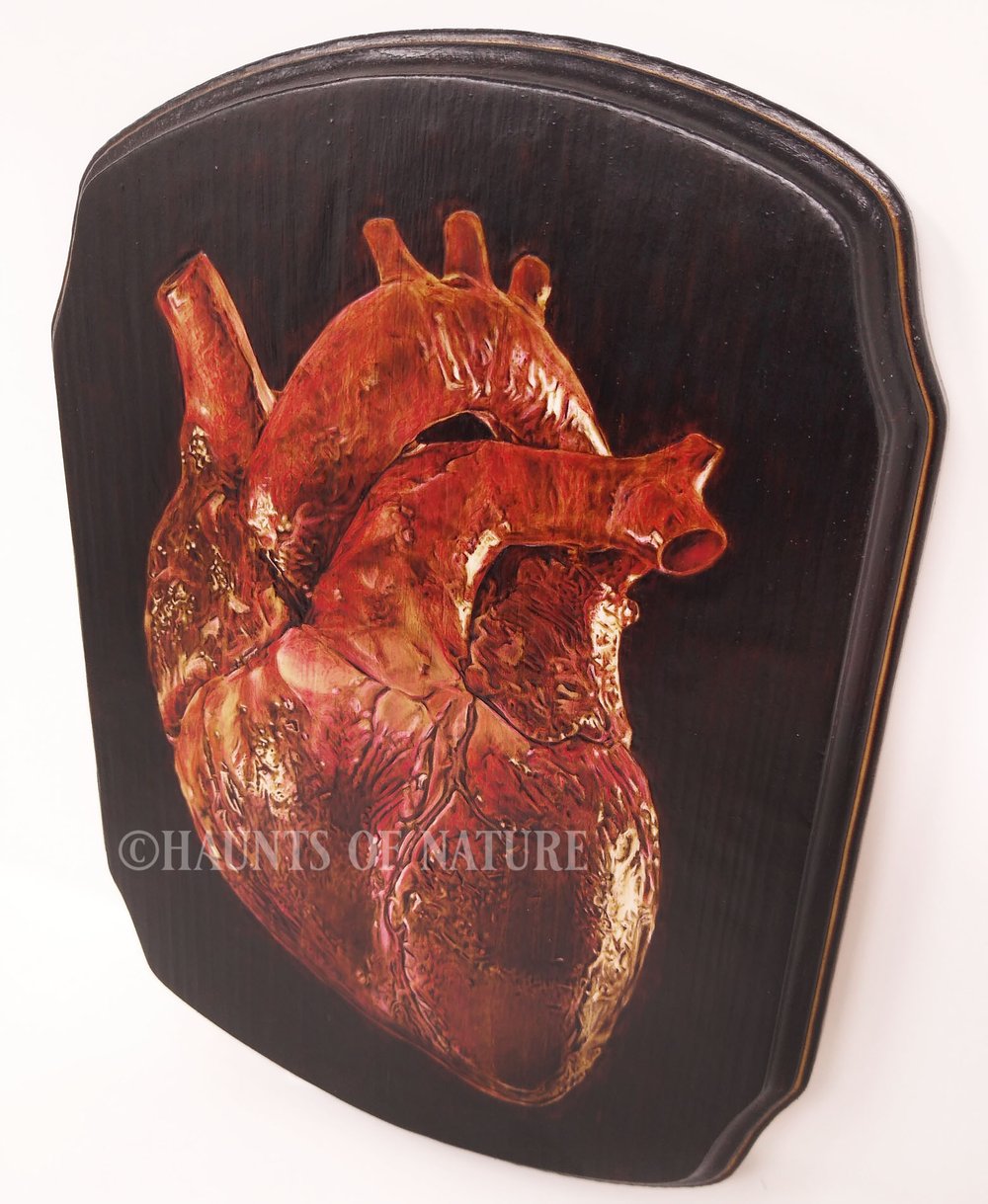 Wood Burned Anatomical Human Heart