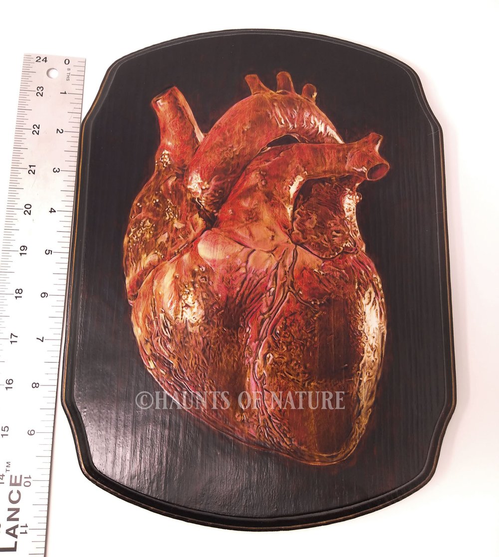 Wood Burned Anatomical Human Heart