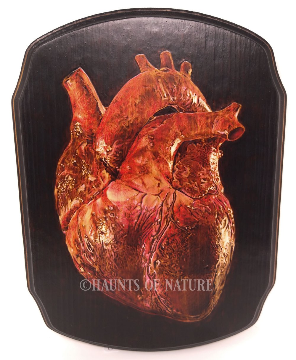 Wood Burned Anatomical Human Heart