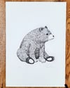 Print: Bear II