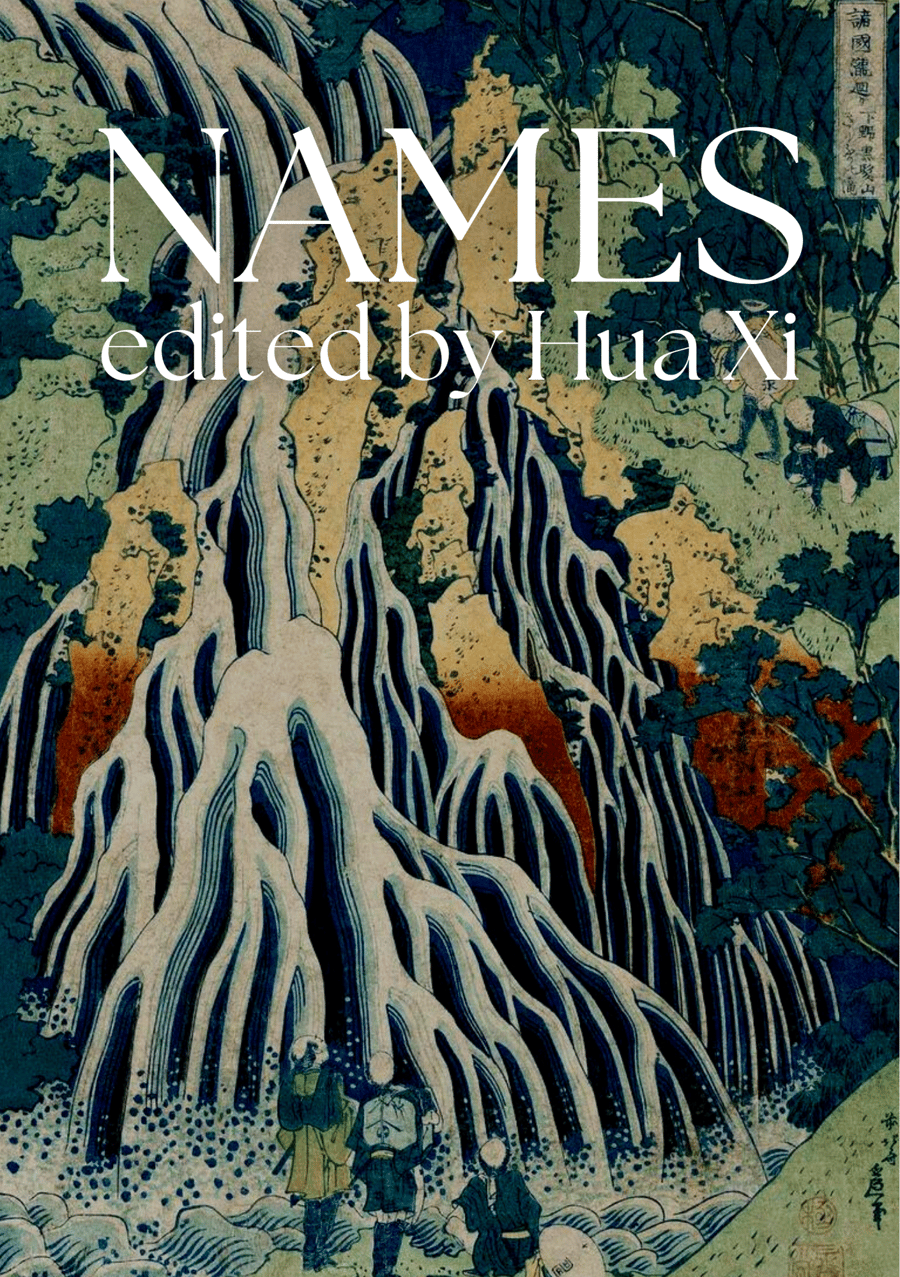Image of NAMES - Edited by Hua Xi