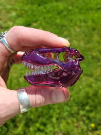 Image 1 of Star gazer Tyrannosaurus Rex skull pendant (ghost teeth)