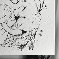 Image 2 of two headed duck - archival print