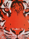 Hand Printed - Tiger Vivid Orange