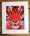 Hand Printed - Tiger Vivid Orange