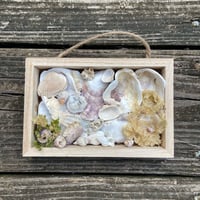 Image 1 of Beach Box #5