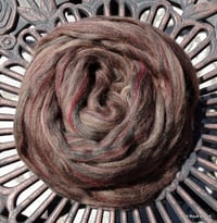 Image 2 of Fireside Superwash Wool and Nylon combed top  - 4 ounces - BRAND NEW