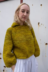 Image 4 of Neys Polo Sweater (Merino Wool shown in Lichen +more colours)