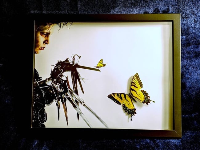 edward scissorhands with butterfly