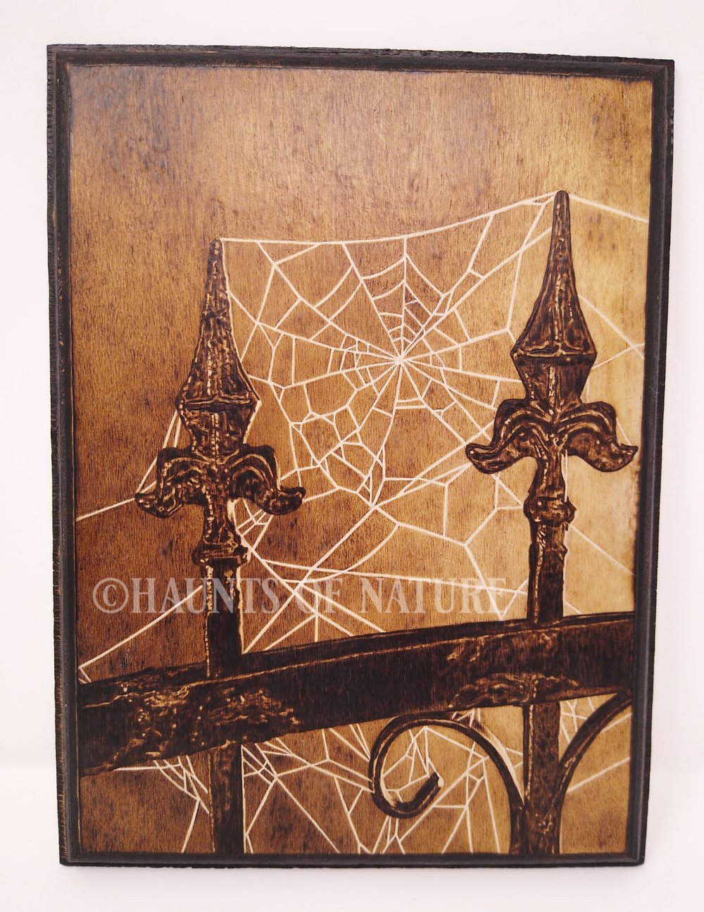 Wood Burned Spiderweb on Iron Fence