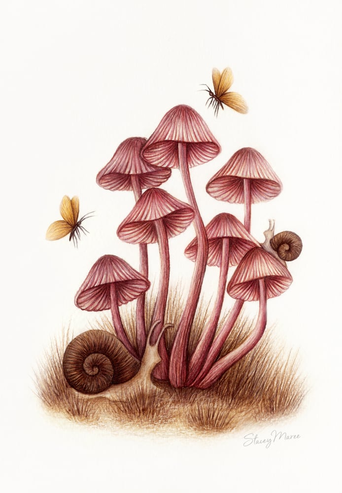 Image of Autumn Cluster - Fine Art Giclée Print