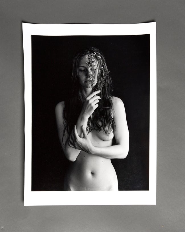 Juniper - from Flowers and Elements Project 30 x 40 cm