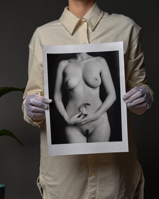 Feather 1 - from Flowers and Elements series 30 x 40 cm