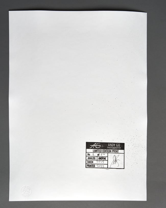 Feather 1 - from Flowers and Elements series 30 x 40 cm