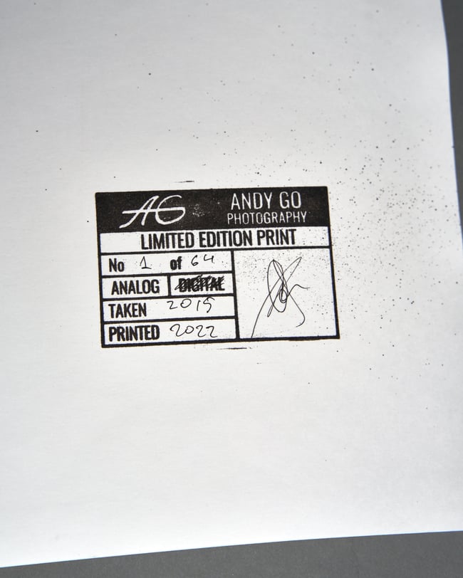 Feather 1 - from Flowers and Elements series 30 x 40 cm