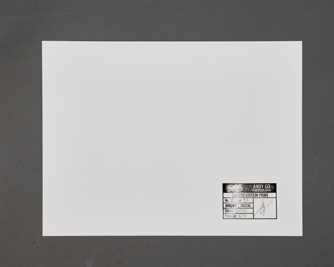 Merely 3 - Digital print