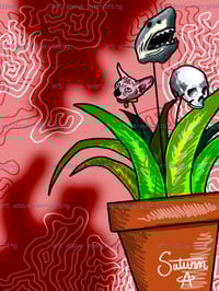 Misconception Plant