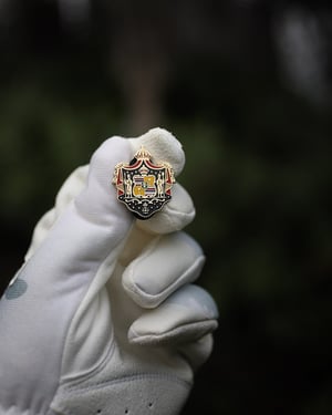 Image of Full Coat of Arms Pin