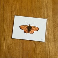 Image 5 of Butterfly Print #2 - Various Designs