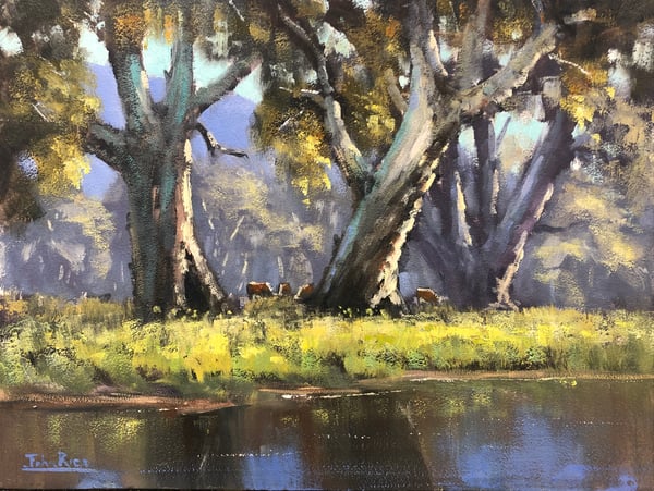 Image of On The Banks Of Nimbo Creek, Brungle
