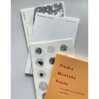 Image 2 of Piedra. Montaña. Punto. Tres cuadernos de variaciones risográficas - Chiara Carrer