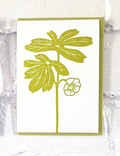Image of Spring Ephemerals Card Set #2