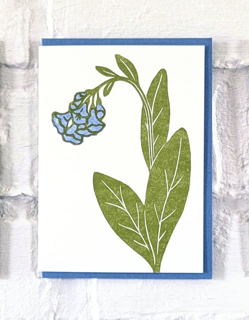Image of Spring Ephemerals Card Set #2